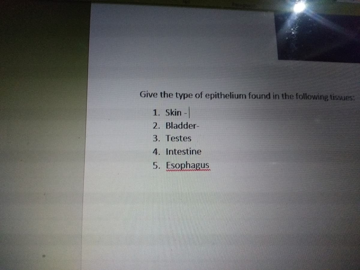 Give the type of epithelium found in the following tissues:
1. Skin -
2. Bladder-
3. Testes
4. Intestine
5. Esophagus
