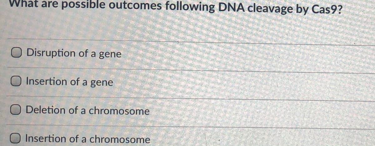 What are possible outcomes following DNA cleavage by Cas9?
O Disruption of a gene
O Insertion of a gene
O Deletion of a chromosome
O Insertion of a chromosome
