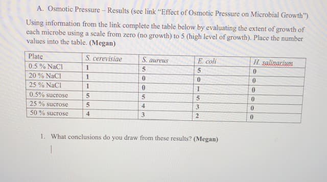 A. Osmotic Pressure - Results (see link "Effect of Osmotic Pressure on Microbial Growth")
Using information from the link complete the table below by evaluating the extent of growth of
each microbe using a scale from zero (no growth) to 5 (high level of growth). Place the number
values into the table. (Megan)
Plate
S. cerevisiae
S. aureus
E. coli
H. salinarium
0.5% NaCl
1
5.
0.
20% NaCl
1
25 % NaCl
1
0.5% sucrose
5.
25 % sucrose
4
3.
50 % sucrose
4
3
1. What conclusions do you draw from these results? (Megan)
