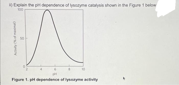 ii) Explain the pH dependence of lysozyme catalysis shown in the Figure 1 below
100
50
2
4.
8.
10
pH
Figure 1. pH dependence of lysozyme activity
Activity (% of maximal)
