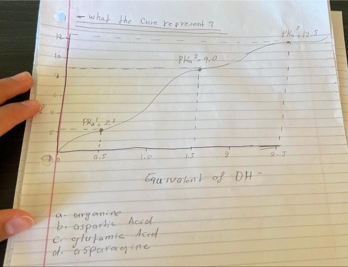 what the Cure represent?
PR₂ ²9.0
Phá 21
0.5
2
Equivalent of OH
Acid
a urganine
b. aspartic
C. glutamic Acrel
d. asparagine
121
to
8
Pka 12.2