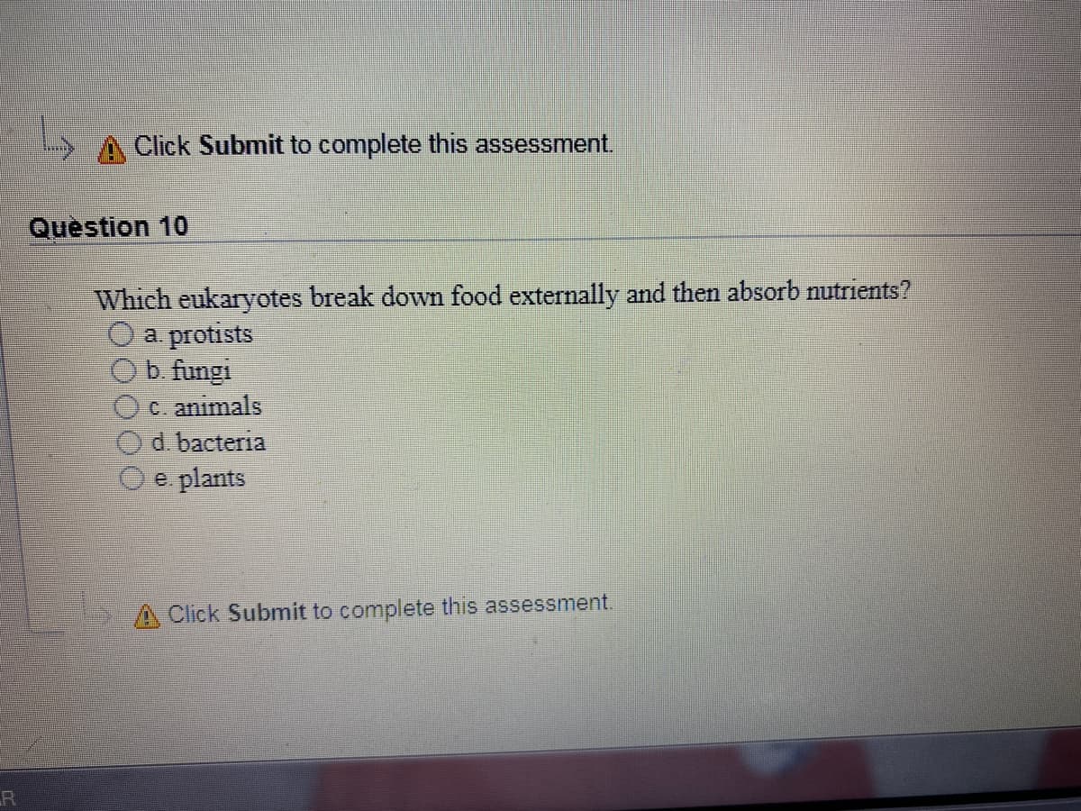 Click Submit to complete this assessment.
Question 10
Which eukaryotes break down food externally and then absorb nutrients?
a protists
Ob. fungi
O c. animals
d. bacteria
e plants
A Click Submit to complete this assessment.
R
