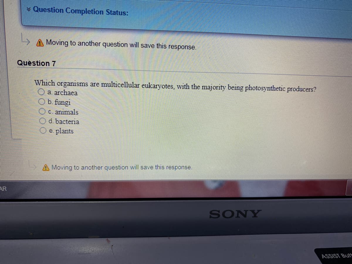 * Question Completion Status:
Moving to another question will save this
response.
Question 7
Which organisms are multicellular eukaryotes, with the majority being photosynthetic producers?
a. archaea
b. fungi
c. animals
d. bacteria
e plants
A Moving to another question will save this response.
AR
SONY
ASSIST But
