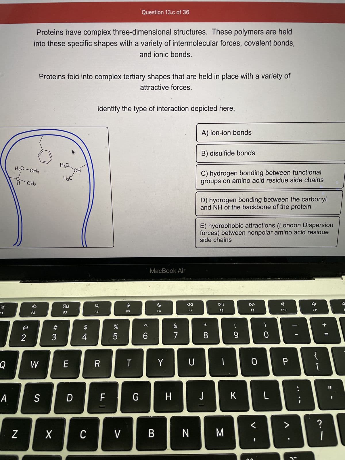 F1
Q
A
N
H₂C-CH3
2
Proteins have complex three-dimensional structures. These polymers are held
into these specific shapes with a variety of intermolecular forces, covalent bonds,
and ionic bonds.
CH3
F2
W
Proteins fold into complex tertiary shapes that are held in place with a variety of
attractive forces.
S
#3
X
H3C.
H3C
80
F3
E
D
CH
$
4
C
Identify the type of interaction depicted here.
Q
F4
R
F
do 5
%
V
16
Question 13.c of 36
F5
T
G
<C
6
MacBook Air
B
F6
Y
H
&
7
2
F7
U
N
A) ion-ion bonds
B) disulfide bonds
C) hydrogen bonding between functional
groups on amino acid residue side chains
D) hydrogen bonding between the carbonyl
and NH of the backbone of the protein
E) hydrophobic attractions (London Dispersion
forces) between nonpolar amino acid residue
side chains
*
8
J
DII
F8
M
(
9
K
F9
0
)
0
L
7
F10
P
4
F11
{
[
+ 11
?
|
F