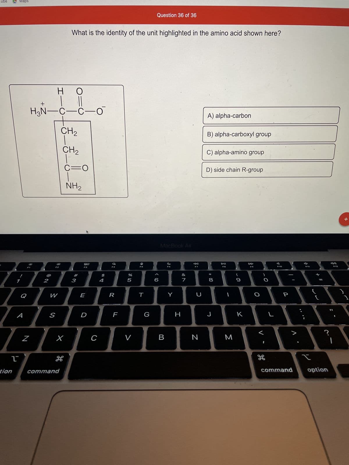 Tube
Maps
1
tion
A
F1
Q
+
Z
H₂N-C-C-0
2
HIC
F2
W
Н O
#
HAGAH
3
E
S
What is the identity of the unit highlighted in the amino acid shown here?
CH₂
CH ₂
command
X
H
C=O
NH₂
80
D
C
$
F4
4
R
F
%
5
V
T
Question 36 of 36
G
<C
MacBook Air
B
Y
H
V lº
&
7
K
F7
U
N
A) alpha-carbon
B) alpha-carboxyl group
C) alpha-amino group
D) side chain R-group
* 00
8
J
DII
FB
M
9
K
FO
H
L
F10
P
>
command
F11
I
لاب
L
option
}
+
1