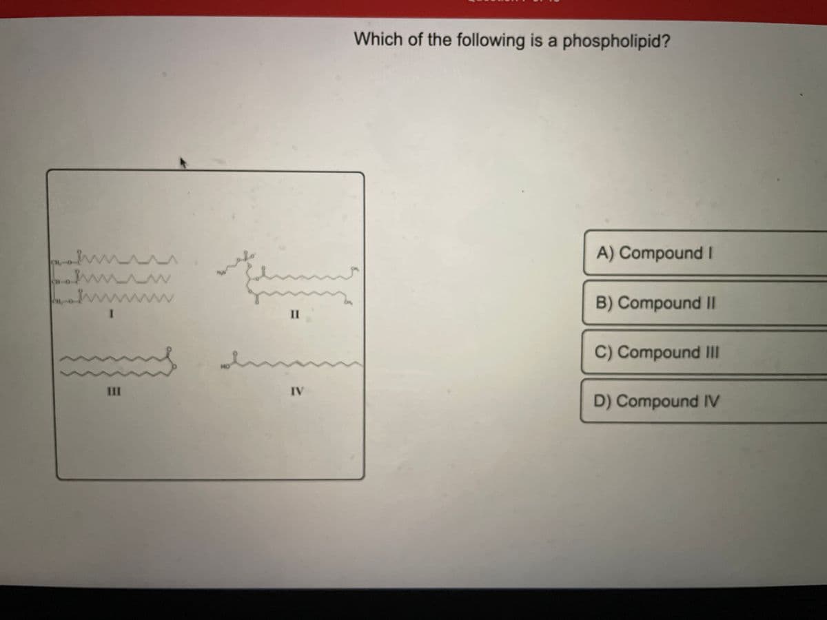 m
w
سند
III
^_^
wwwwwww.
I
II
IV
Which of the following is a phospholipid?
A) Compound I
B) Compound II
C) Compound III
D) Compound IV