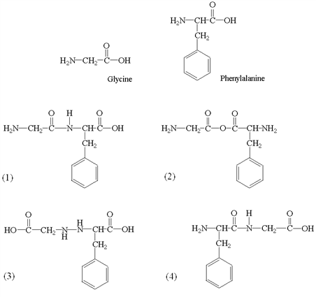 H₂N-CH₂-C-OH
OH
Glycine
O H
O
HẠN–CH-C -N-CH-C-OH
CH₂
(1)
HO-C-CH,
H_CHC
N-CH-C-OH
CH₂
(3)
ĐẾ
H₂N-CH-C-OH
CH₂
Phenylalanine
Loi
HẠN–CH-C-O-C-CHÍNH,
CH₂
(2)
€
Ο Η
H₂N-CH-CN CH₂
CH₂
6
-OH