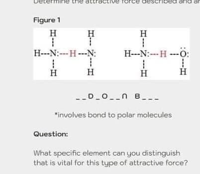 eterm
e the
attracti
orce described and ar
Figure 1
H
H
H
H---N:---H ---N:
H--N:-- H ---0:
H
H
H
D_0__n B.
*involves bond to polar molecules
Question:
What specific element can you distinguish
that is vital for this type of attractive force?
