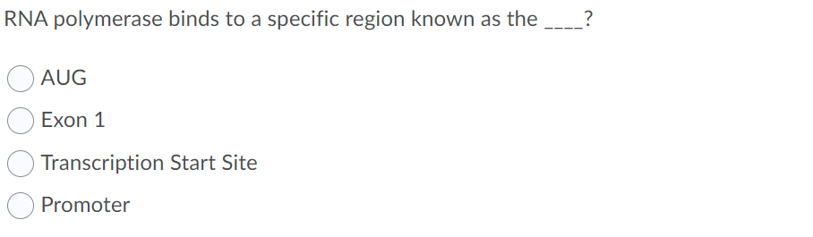 RNA polymerase binds to a specific region known as the
_?
AUG
Exon 1
Transcription Start Site
Promoter
