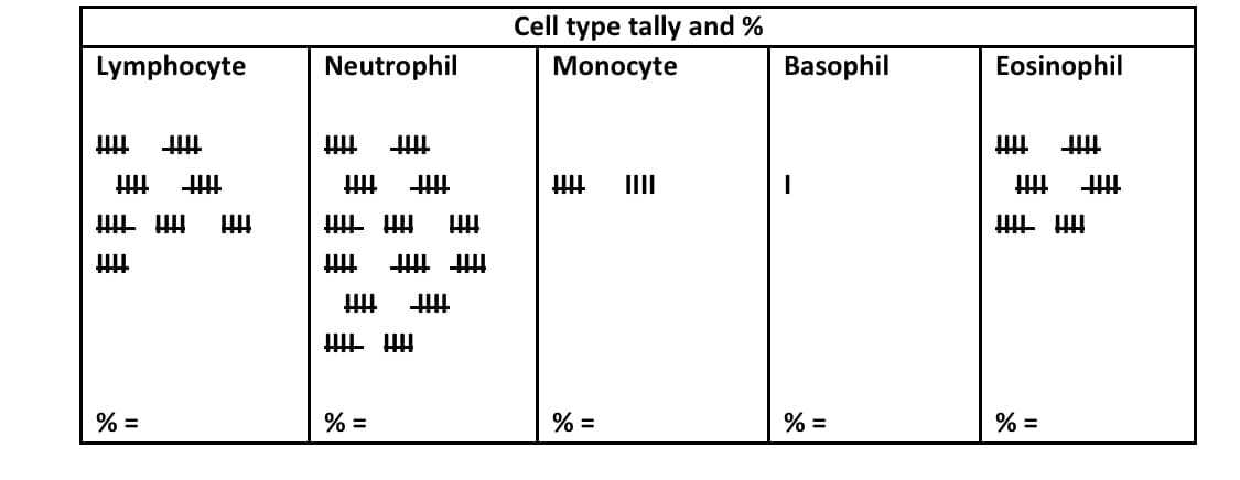 Cell type tally and %
Lymphocyte
Neutrophil
Monocyte
Basophil
Eosinophil
ttt
tttt
III
tttt
% =
% =
% =
% =
% =
主手
主
