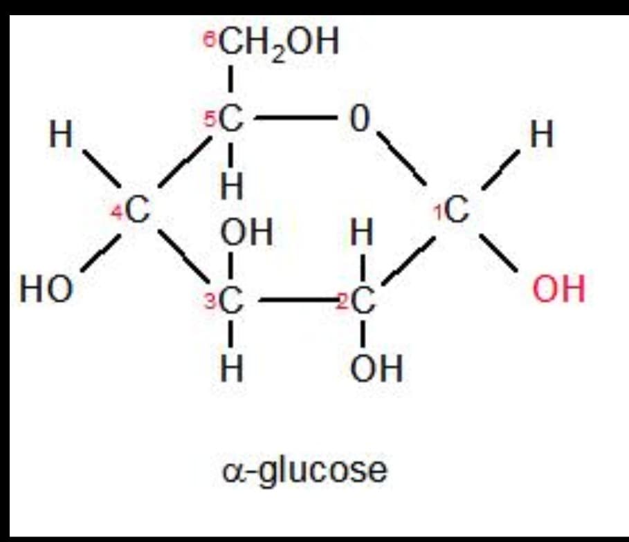 H
HO
4C
CH₂OH
I
5C-
О-І
H
-0-1
ОН
H
-0.
H
-О-І
C
I
ОН
a-glucose
1C
H
ОН