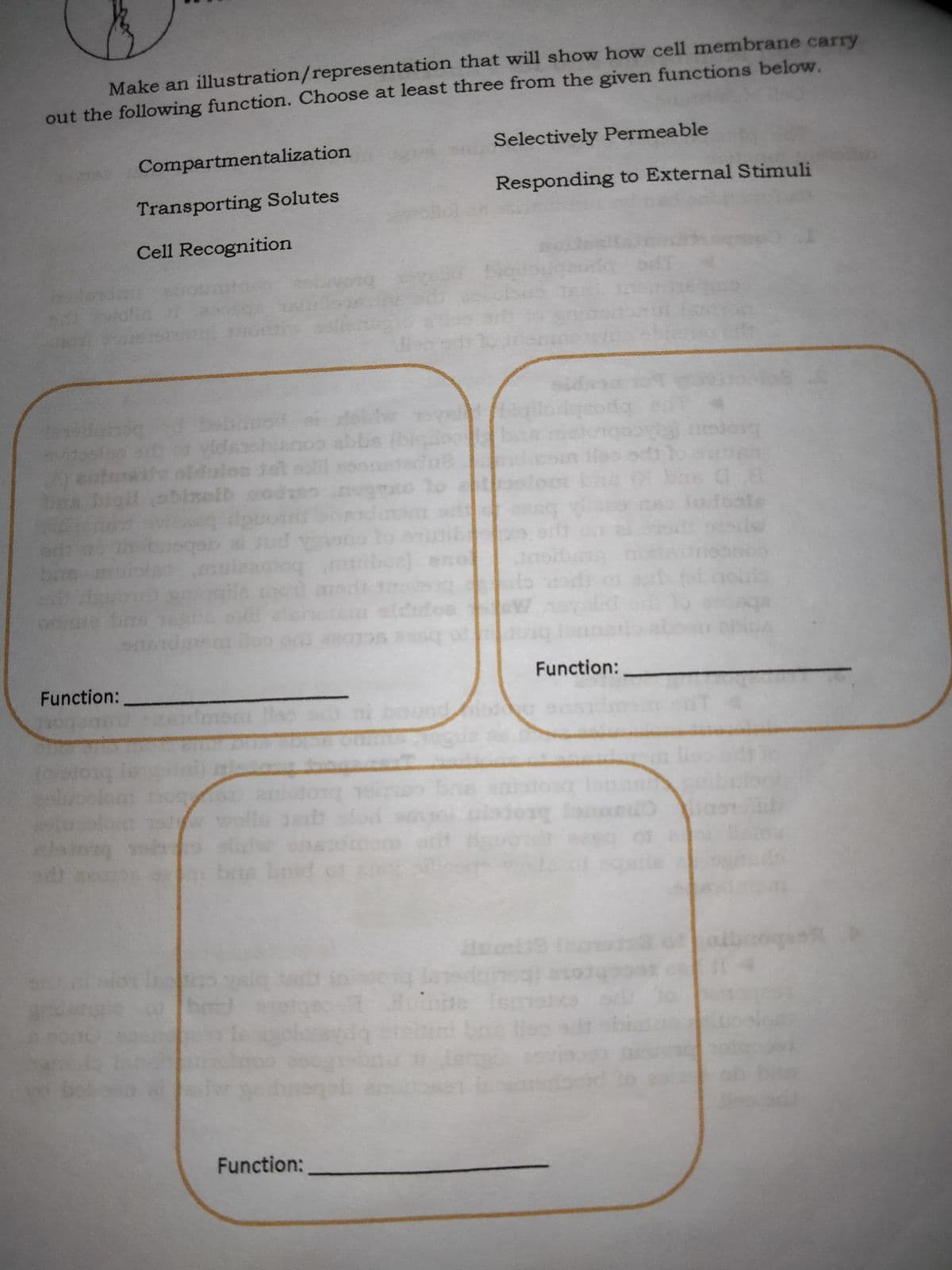 Make an illustration/representation that will show how cell membrane carry
out the following function. Choose at least three from the given functions below.
Selectively Permeable
Compartmentalization
Responding to External Stimuli
Transporting Solutes
Cell Recognition
solb
odoofe
abosu ahica
Function:
Function:
bs bnid
brd
Ism
bo
Function:

