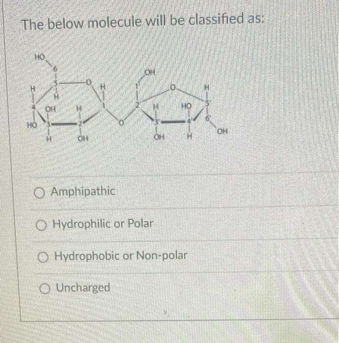 The below molecule will be classified as:
10
HO
ن
O Amphipathic
ن
"""
Hydrophilic or Polar
Hydrophobic or Non-polar
Uncharged
OH
