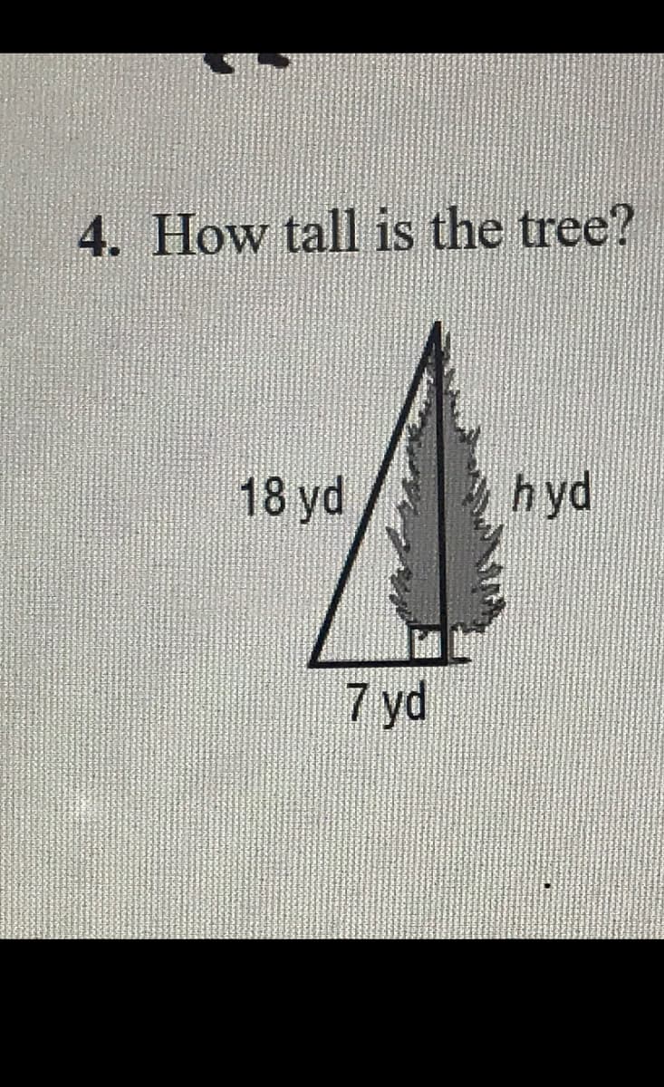 4. How tall is the tree?
18 yd
hyd
7 yd
