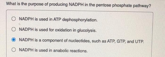 What is the purpose of producing NADPH in the pentose phosphate pathway?
NADPH is used in ATP dephosphorylation.
O NADPH is used for oxidation in glucolysis.
NADPH is a component of nucleotides, such as ATP, GTP, and UTP.
O NADPH is used in anabolic reactions.
