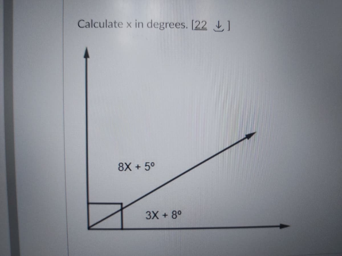 Calculate x in degrees. [22]
8X + 5°
3X + 8°