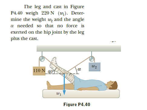 The leg and cast in Figure
P4.40 weigh 220 N (w). Deter-
mine the weight wz and the angle
a needed so that no force is
exerted on the hip joint by the leg
plus the cast.
7
110 N 40%
Figure P4.40

