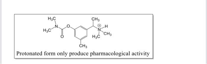 H3C
CH3
H
H3C
CH3
H3C
ČH3
Protonated form only produce pharmacological activity
