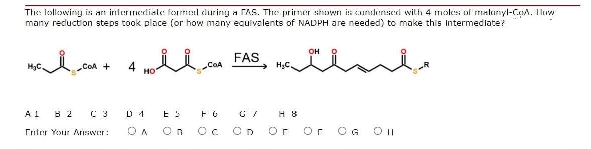 The following is an intermediate formed during a FAS. The primer shown is condensed with 4 moles of malonyl-CọA. How
many reduction steps took place (or how many equivalents of NADPH are needed) to make this intermediate?
он
con FAS,
H3C.
COA +
4
COA
H3C.
R
но
A 1
в 2
C 3
D 4
E 5
F 6
G 7
H 8
Enter Your Answer:
O A
O B
Ос
O D
O E
O F
O H
