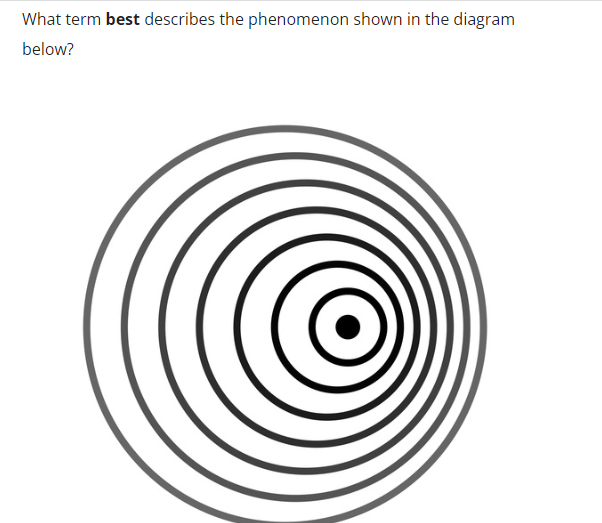 What term best describes the phenomenon shown in the diagram
below?
