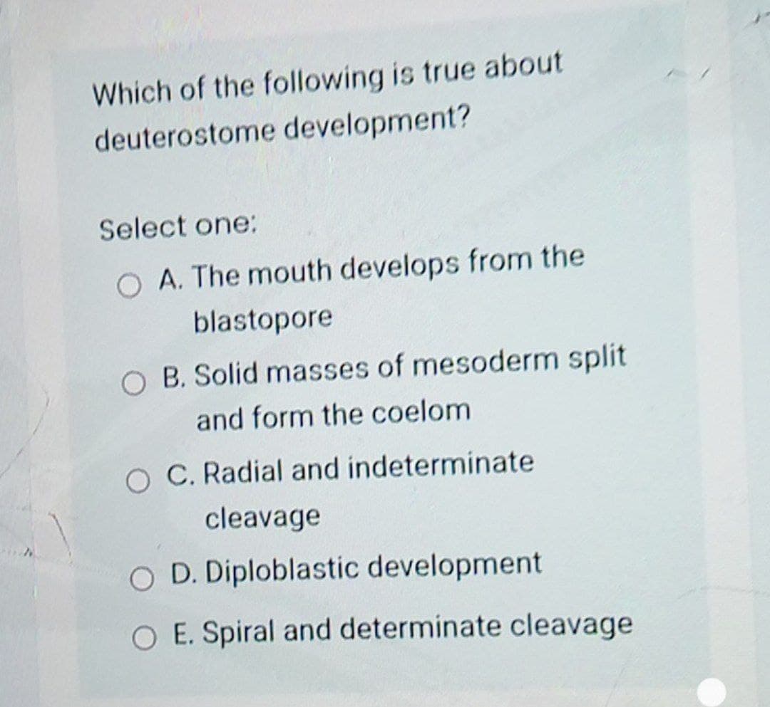 Which of the following is true about
deuterostome development?
Select one:
O A. The mouth develops from the
blastopore
O B. Solid masses of mesoderm split
and form the coelom
O C. Radial and indeterminate
cleavage
O D. Diploblastic development
O E. Spiral and determinate cleavage
