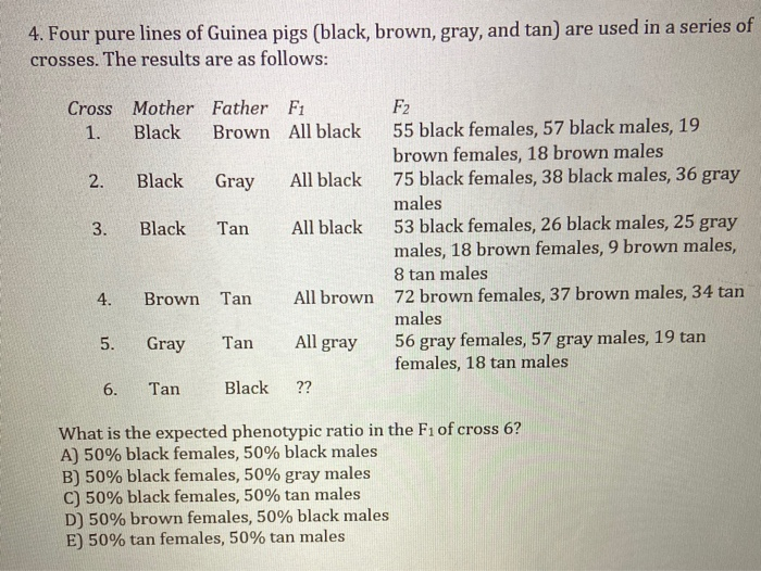 4. Four pure lines of Guinea pigs (black, brown, gray, and tan) are used in a series of
crosses. The results are as follows:
Cross Mother Father F1
F2
55 black females, 57 black males, 19
brown females, 18 brown males
75 black females, 38 black males, 36 gray
1.
Black
Brown All black
2.
Black
Gray
All black
males
53 black females, 26 black males, 25 gray
males, 18 brown females, 9 brown males,
8 tan males
3.
Black
Tan
All black
4.
Brown Tan
All brown 72 brown females, 37 brown males, 34 tan
males
56 gray females, 57 gray males, 19 tan
females, 18 tan males
5.
Gray
Tan
All gray
6.
Tan
Black
??
What is the expected phenotypic ratio in the F1 of cross 6?
A) 50% black females, 50% black males
B) 50% black females, 50% gray males
C) 50% black females, 50% tan males
D) 50% brown females, 50% black males
E) 50% tan females, 50% tan males

