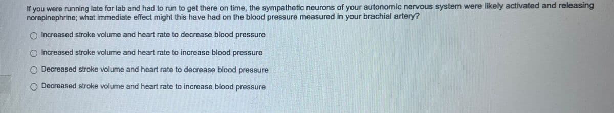 If you were running late for lab and had to run to get there on time, the sympathetic neurons of your autonomic nervous system were likely activated and releasing
norepinephrine; what immediate effect might this have had on the blood pressure measured in your brachial artery?
Increased stroke volume and heart rate to decrease blood pressure
Increased stroke volume and heart rate to increase blood pressure
Decreased stroke volume and heart rate to decrease blood pressure
Decreased stroke volume and heart rate to increase blood pressure
DERMA
person