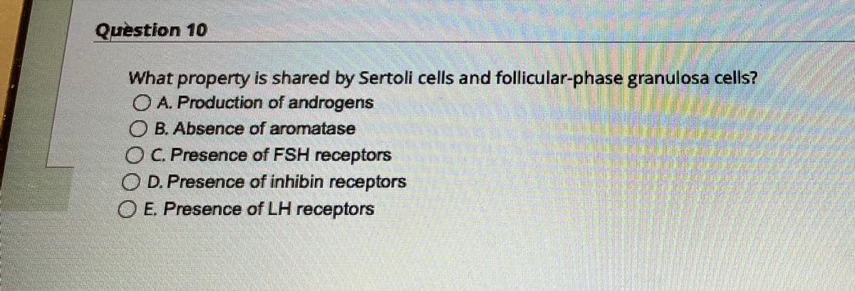 Question 10
What property is shared by Sertoli cells and follicular-phase granulosa cells?
OA. Production of androgens
B. Absence of aromatase
OC. Presence of FSH receptors
OD. Presence of inhibin receptors
OE. Presence of LH receptors
P
