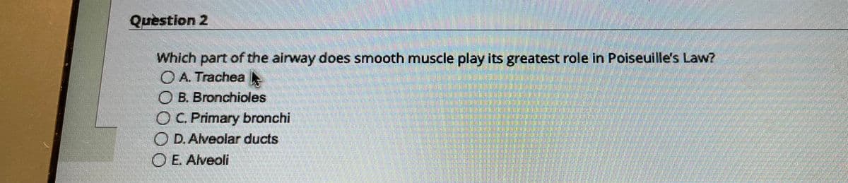 Question 2
Which part of the airway does smooth muscle play its greatest role in Poiseuille's Law?
O A. Trachea
B. Bronchioles
OC. Primary bronchi
D. Alveolar ducts
OE. Alveoli