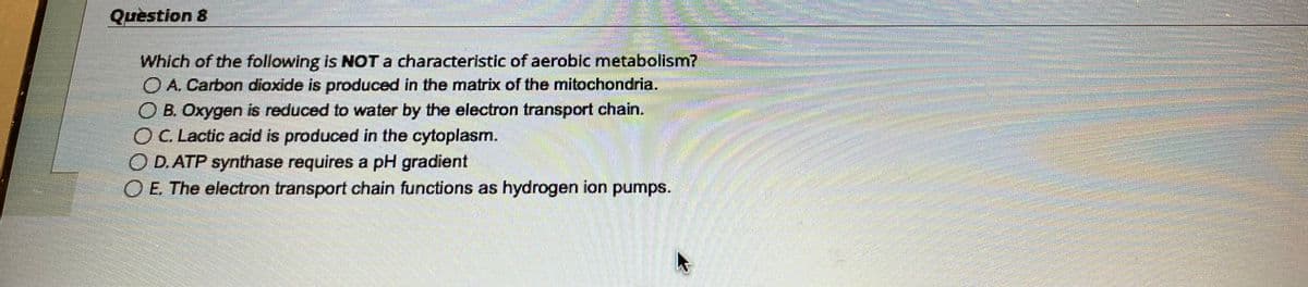 Question 8
Which of the following is NOT a characteristic of aerobic metabolism?
O A. Carbon dioxide is produced in the matrix of the mitochondria.
O B. Oxygen is reduced to water by the electron transport chain.
C. Lactic acid is produced in the cytoplasm.
OD. ATP synthase requires a pH gradient
O E. The electron transport chain functions as hydrogen ion pumps.
mennes
Mausantara
****
Eminem