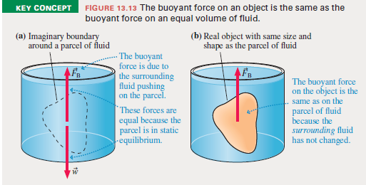 KEY CONCEPT FIGURE 13.13 The buoyant force on an object is the same as the
buoyant force on an equal volume of fluid.
(a) Imaginary boundary
around a parcel of fluid
(b) Real object with same size and
shape as the parcel of fluid
- The buoyant
force is due to
the surrounding
fluid pushing
on the parcel.
| These forces are
equal because the
parcel is in static
equilibrium.
AF
The buoyant force
on the object is the
same as on the
parcel of fluid
because the
surrounding fluid
has not changed.
