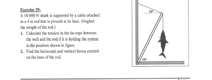 Exercise 29:
A 10 000-N shark is supported by a cable attached
to a 4 m rod that is pivoedt at its base. (Neglect
the weight of the rod.)
1. Calculate the tension in the tie-rope between
the wall and the rod if it is holding the system
in the position shown in figure.
20
2. Find the horizontal and vertical forces exerted
on the base of the rod.
60°
