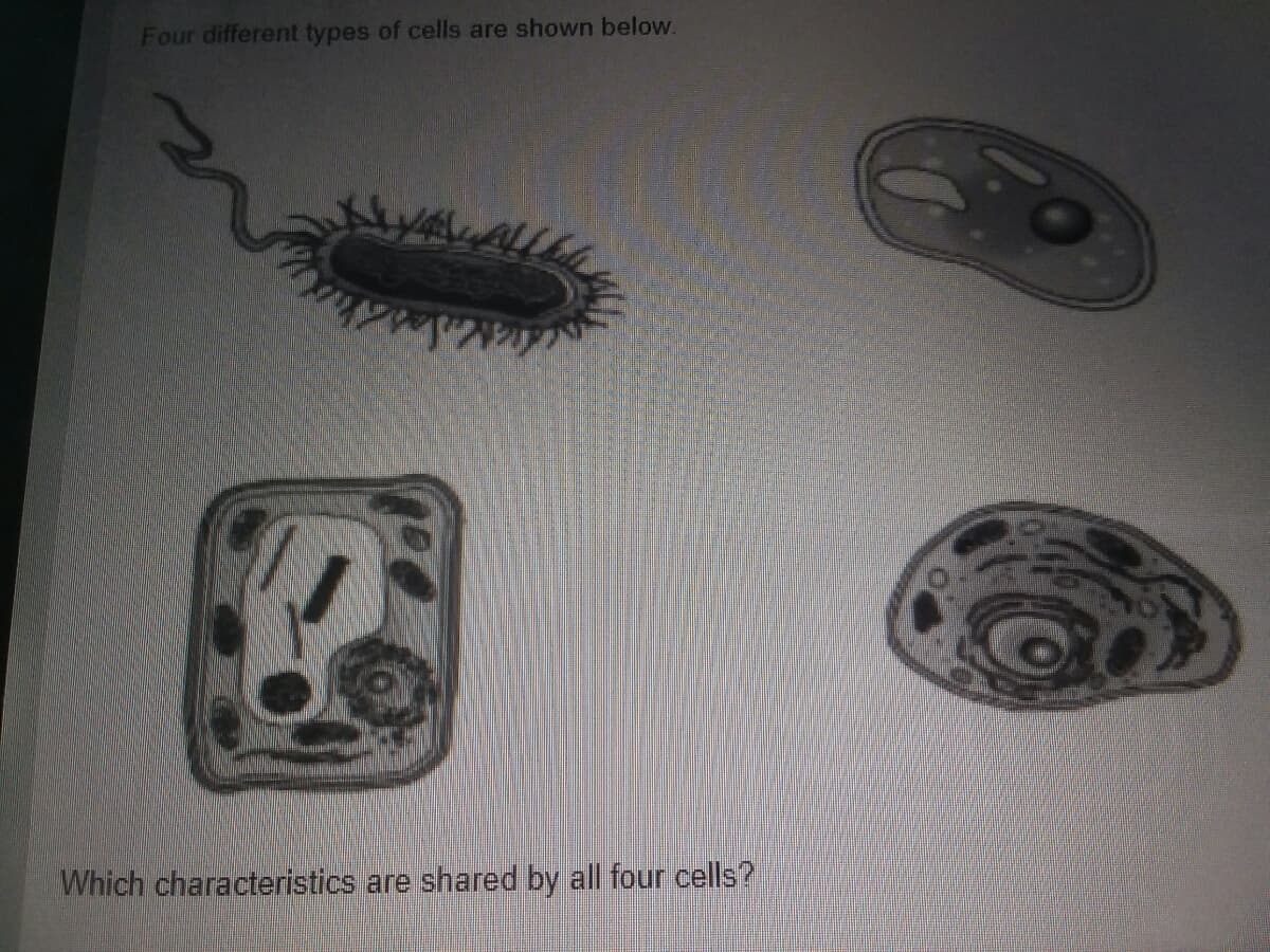 Four different types of cells are shown below.
Which characteristics are shared by all four cells?
