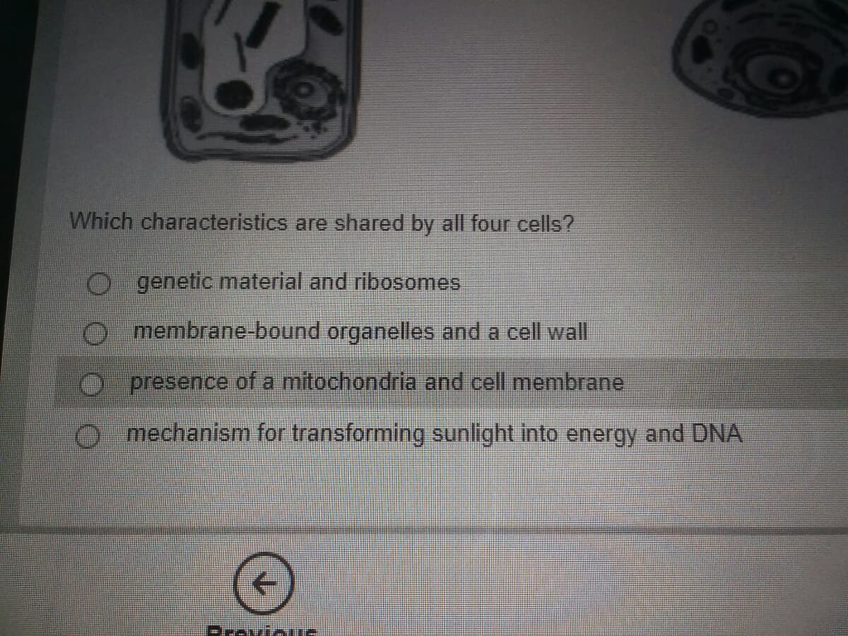 Which characteristics are shared by all four cells?
O genetic material and ribosomes.
membrane-bound organelles and a cell wall
presence of a mitochondria and cell membrane
O mechanism for transforming sunlight into energy and DNA
->
Frevine
