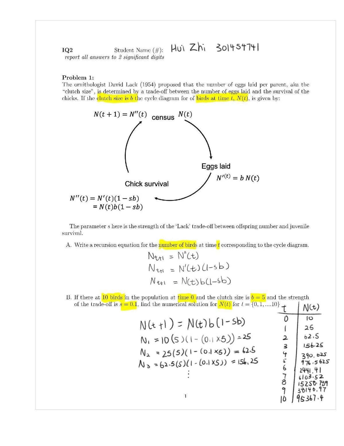 IQ2
report all ansuwers to 2 significant digits
Student Narme (#): Hui Zhi 301454741
Problem 1:
The ornithologist David Lack (1954) proposed that the number of eggs laid per parent, aka the
"clutch size", is determined by a trade-off between the number of eggs laid and the survival of the
chicks. If the clnteh size is b the cycle diagram for of birds at time 1, N(1), is given by:
N(t + 1) = N"(t)
N(t)
census
Eggs laid
N'e) = b N(t)
Chick survival
N"(t) = N'(t)(1- sb)
= N (t)b(1- sb)
The parameter s here is the strength of the 'Lack' trade-off between offspring number and juvenile
survival.
A. Write a recursion equation for the number of birds at time t corresponding to the cycle diagram.
N°Ct)
NH = N'Lt)(I-sb)
NtSbl-sb)
B. If there at 10 birds in the population at time 0 and the clutch size is 6 = 5 and the strength
of the trade-off is s = 0.1, find the numerical solution for N(t) for = {0, 1, ....10}.
NCt)
NCt tl) = Nt)6(1-sb)
N, = 10 (s)(1- (o.1 x5)) = 25
Na = 25(5)(1-(o.1 x5)) = 62.5
No =62.5(5)(1- (0.1 XS)) = 156,25
10
25
2
62.5
%3D
156.25
%3D
390. 625
976.5625
2441.41
6103.52
15258 739
30140,97
1
10 1 95367.4
ナueトの
