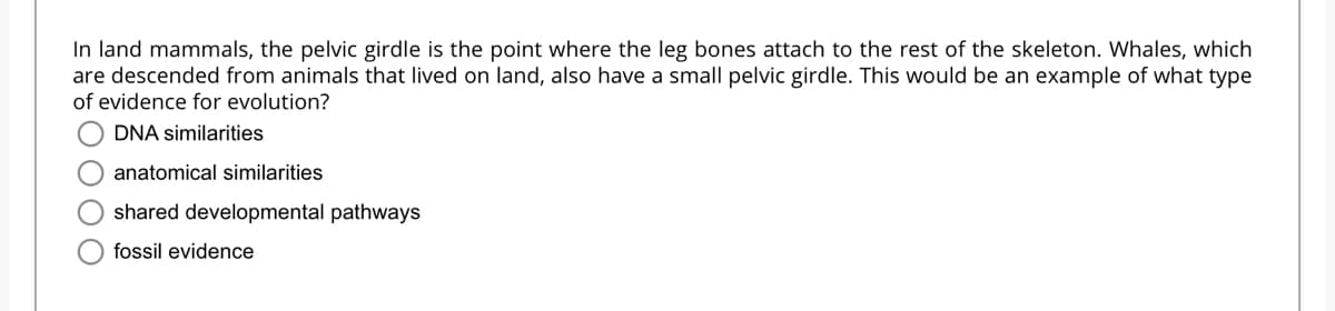 In land mammals, the pelvic girdle is the point where the leg bones attach to the rest of the skeleton. Whales, which
are descended from animals that lived on land, also have a small pelvic girdle. This would be an example of what type
of evidence for evolution?
DNA similarities
anatomical similarities
shared developmental pathways
fossil evidence
s 000 O
