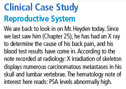Clinical Case Study
Reproductive System
We are back to look in on Mr. Heyden today. Since
we last saw him (Chapter 25), he has had an X ray
to determine the cause of his back pain, and his
blood test results have come in. According to the
note recorded at radiology: X irradiation of skeleton
displays numerous carcinomatous metastases in his
skull and lumbar vertebrae. The hematology note of
interest here reads: PSA levels abnormally high.
