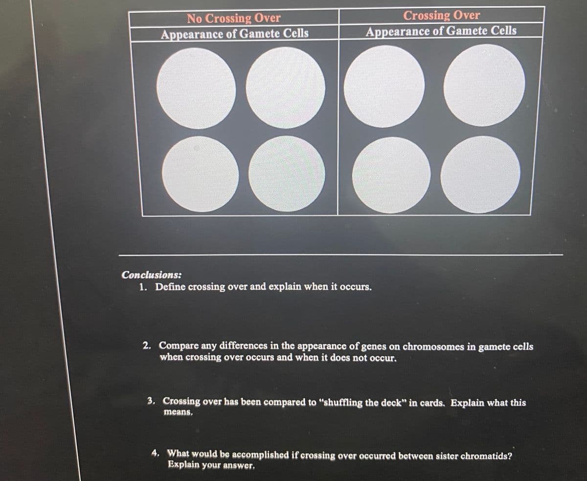 No Crossing Over
Crossing Over
Appearance of Gamete Cells
Appearance of Gamete Cells
Conclusions:
1. Define crossing over and explain when it occurs.
2. Compare any differences in the appearance of genes on chromosomes in gamete cells
when crossing over occurs and when it does not occur.
3. Crossing over has been compared to "shuffling the deck" in cards, Explain what this
means,
4. What would be accor
Explain your answer.
mplished if crossing over occurred between sister chromatids?
