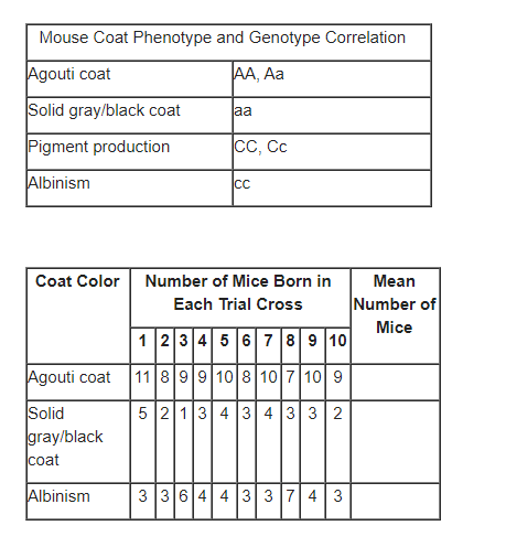 Mouse Coat Phenotype and Genotype Correlation
Agouti coat
AA, Aa
Solid gray/black coat
aa
Pigment production
CC, Cc
Albinism
CC
Coat Color Number of Mice Born in
Mean
Each Trial Cross
Number of
Mice
1 234 5 67 89 10
Agouti coat 11899 10 8 107 10 9
Solid
gray/black
coat
5 2 134 34 33 2
Albinism
3 36 4 4 33 74 3

