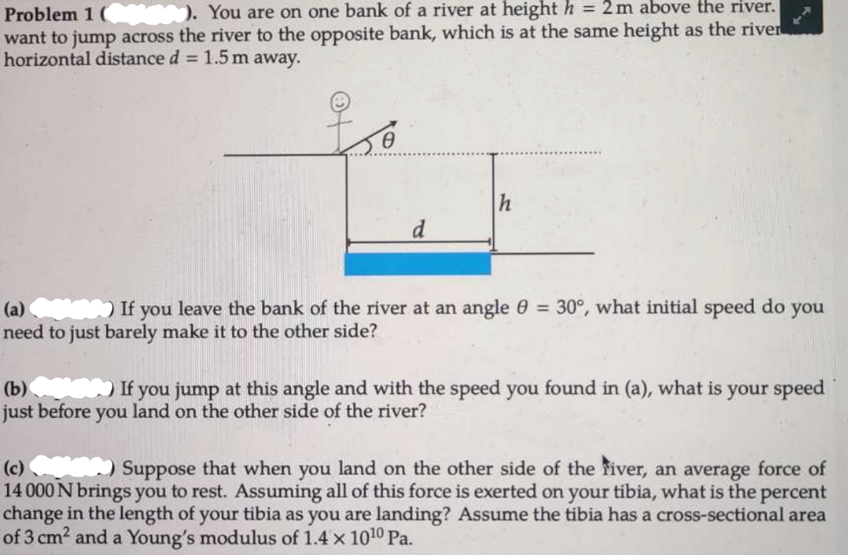 Problem 1 ( . You are on one bank of a river at height h
want to jump across the river to the opposite bank, which is at the same height as the river
horizontal distance d = 1.5 m away.
= 2m above the river.
%3D
d
(a) If you leave the bank of the river at an angle 0 = 30°, what initial speed do you
need to just barely make it to the other side?
(b) If you jump at this angle and with the speed you found in (a), what is your speed
just before you land on the other side of the river?
(c) Suppose that when you land on the other side of the fiver, an average force of
14 000 N brings you to rest. Assuming all of this force is exerted on your tibia, what is the percent
change in the length of your tibia as you are landing? Assume the tibia has a cross-sectional area
of 3 cm? and a Young's modulus of 1.4 x 1010 Pa.
