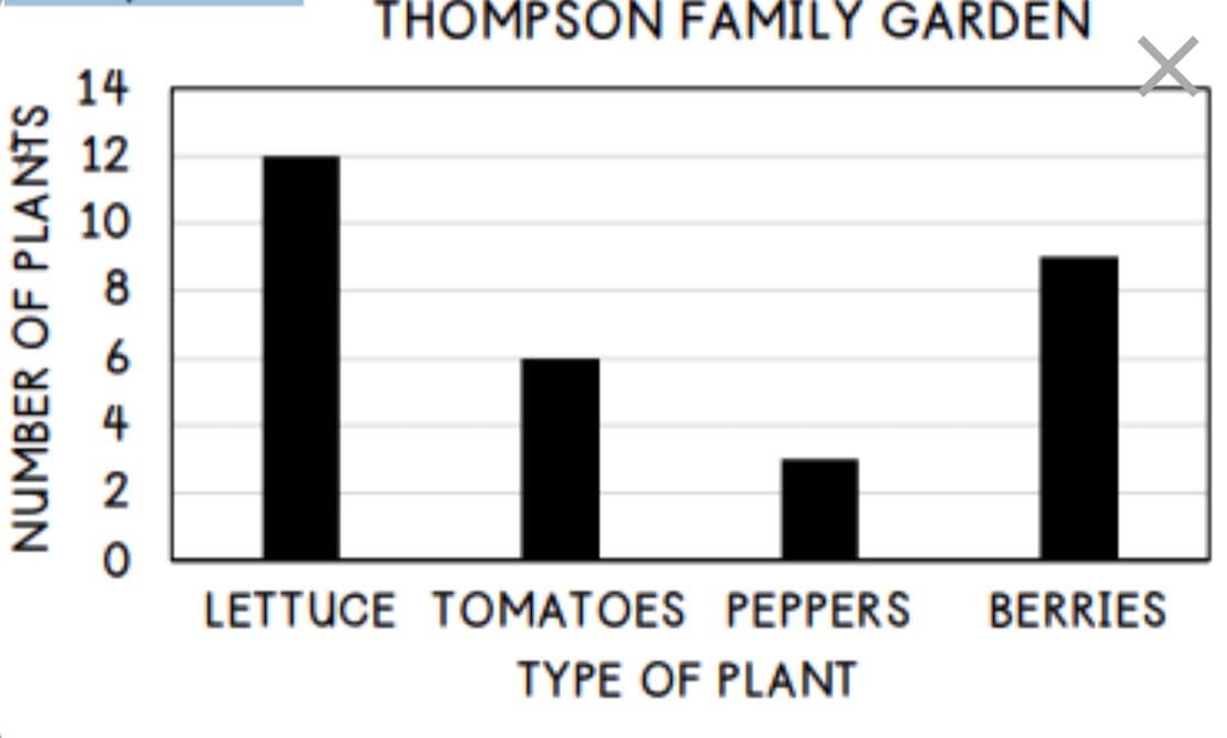 THOMPSON FAMILY GARDEN
14
12
10
8
6
4
2
LETTUCE TOMATOES PEPPERS
BERRIES
TYPE OF PLANT
NUMBER OF PLANTS
