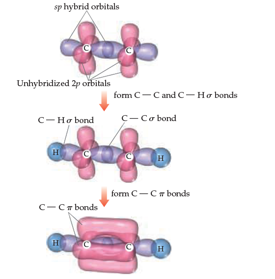 sp hybrid orbitals
Unhybridized 2p orbitals
form C-C and C-Ho bonds
C-Ho bond
C- Cơ bond
н
form C — С тbonds
С—СпЬonds
н
н
