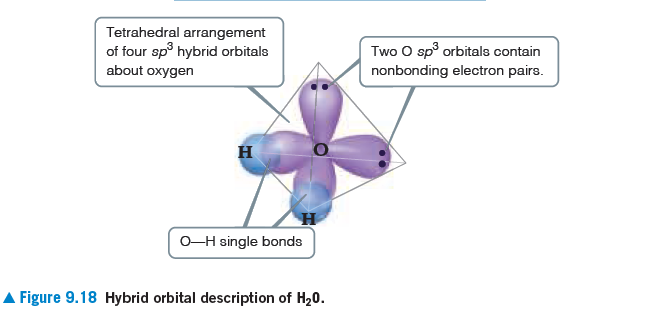 Tetrahedral arrangement
of four sp hybrid orbitals
Two O sp° orbitals contain
nonbonding electron pairs.
about oxygen
O-H single bonds
Figure 9.18 Hybrid orbital description of H20.
