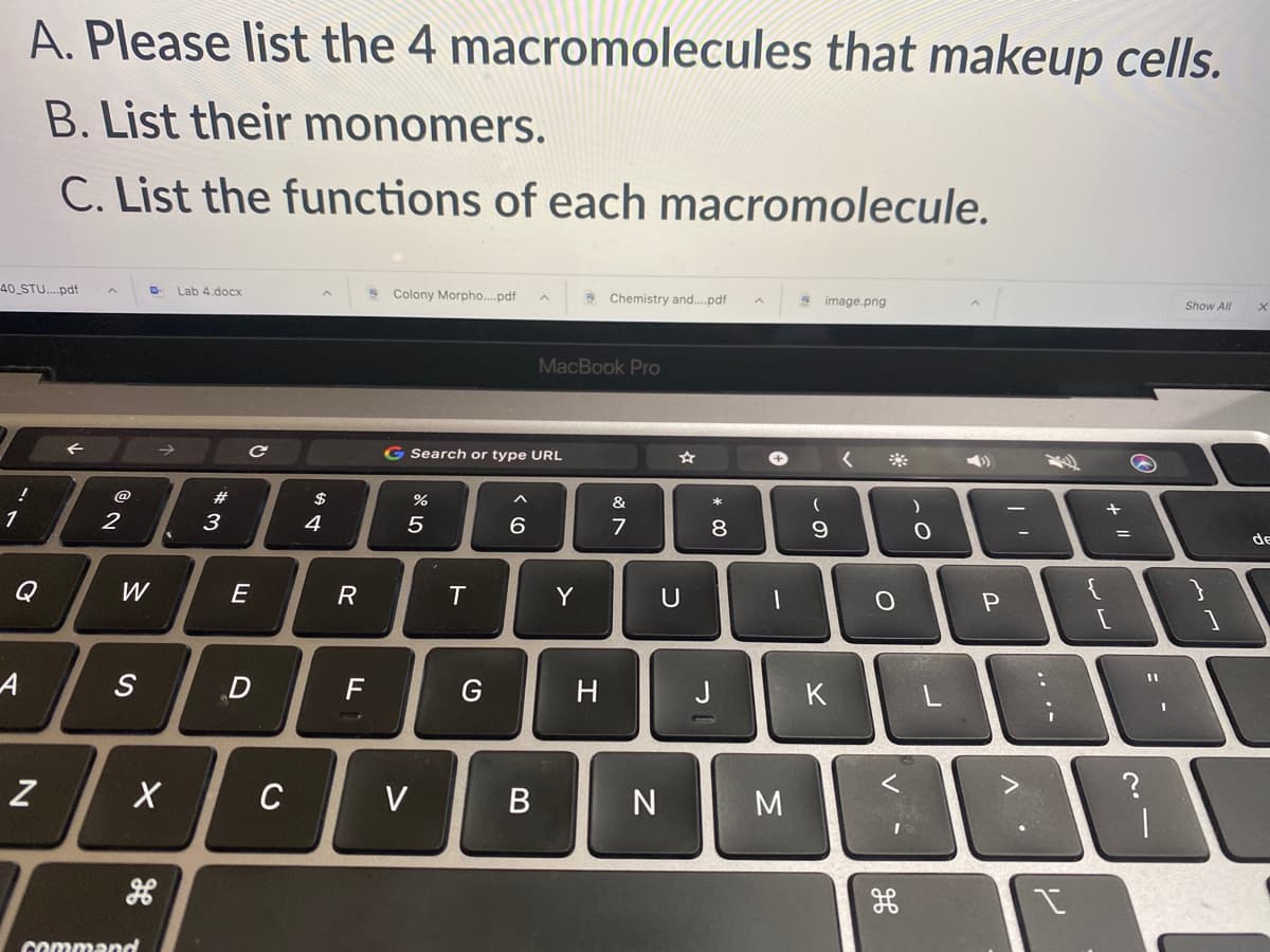 A. Please list the 4 macromolecules that makeup cells.
B. List their monomers.
C. List the functions of each macromolecule.
40 STU.pdf
Lab 4.docx
9 Colony Morpho.pdf
S Chemistry and.pdf
S image.png
Show All
MacBook Pro
G Search or type URL
$
&
*
@
#
1
2
4
5
8
de
Q
W
E
T
Y
U
S
F
H
J
C
V
command
+ I"
....
< (O
