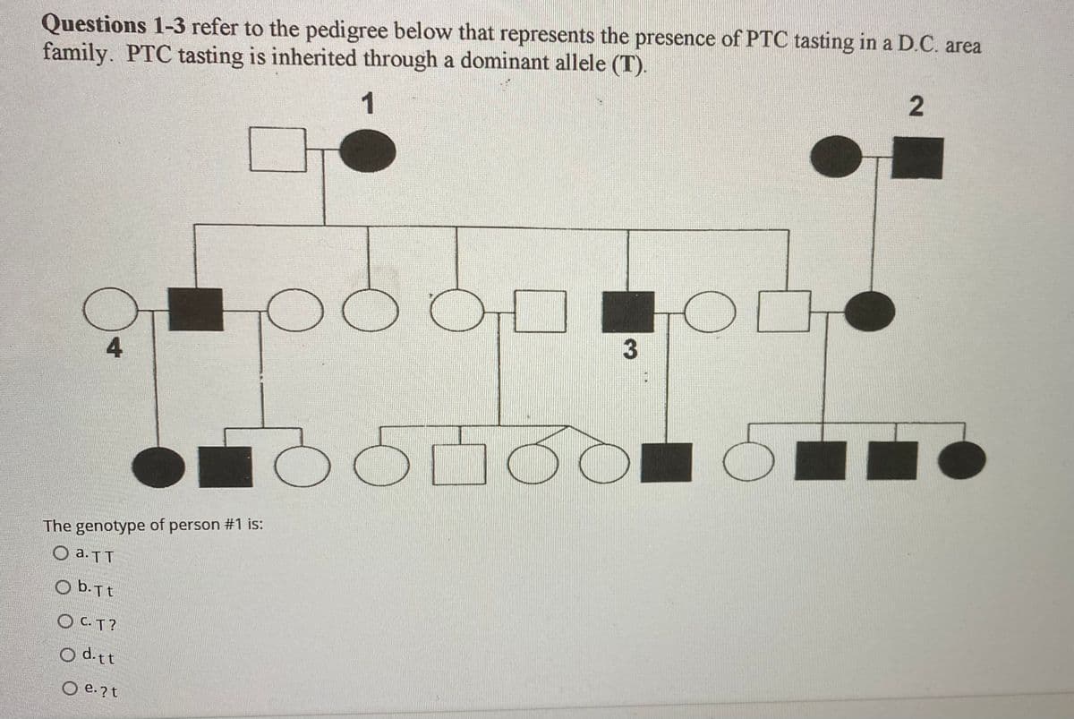 Questions 1-3 refer to the pedigree below that represents the presence of PTC tasting in a D.C. area
family. PTC tasting is inherited through a dominant allele (T).
1
4
The genotype of person #1 is:
O a. TT
O b.Tt
OC.T?
O d.tt
O e. ? t
3
