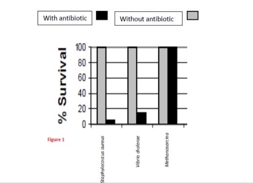 With antibiotic
Without antibiotic
Figure 1
% Survival
8 8 8 9 8
snauno snookydog
Vibrio dholerae
Methanosarcina
