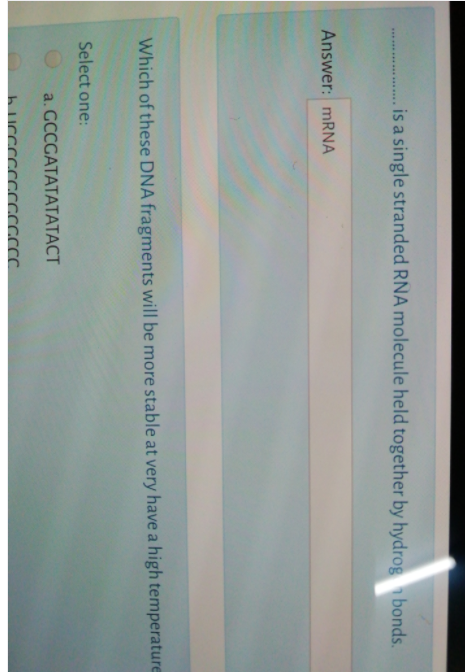 is a single stranded RNA molecule held together by hydrog bonds.
Answer: MRNA
Which of these DNA fragments will be more stable at very have a high temperature
Select one:
a. GCCGATATATATACT
h UCCCCCCCCCCC.
