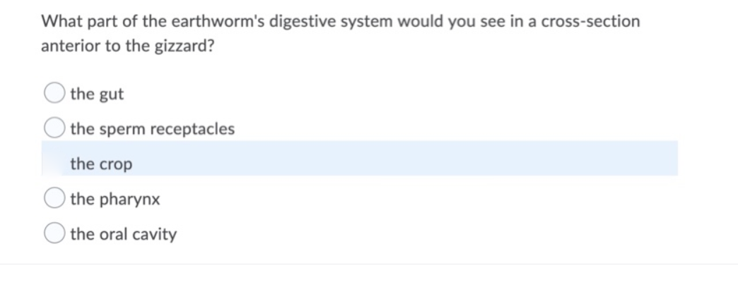 What part of the earthworm's digestive system would you see in a cross-section
anterior to the gizzard?
the gut
the sperm receptacles
the crop
the pharynx
the oral cavity
