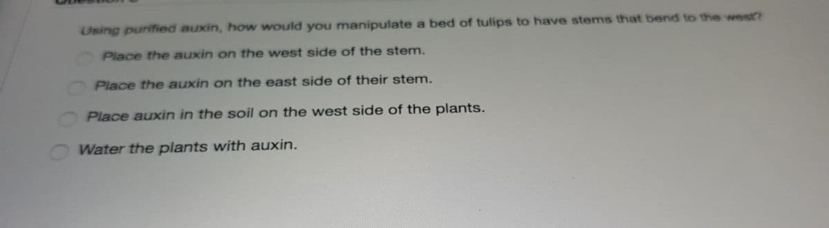 Using purified auxin, how would you manipulate a bed of tulips to have stems that bend to the west?
Place the auxin on the west side of the stem.
Place the auxin on the east side of their stem.
Place auxin in the soil on the west side of the plants.
Water the plants with auxin.
