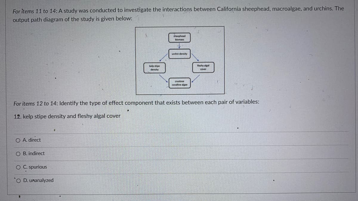 For items 11 to 14: A study was conducted to investigate the interactions between California sheephead, macroalgae, and urchins. The
output path diagram of the study is given below:
sheephead
biomass
urchin density
feshy agal
kelp stipe
density
cover
crustose
coralline ge
For items 12 to 14: Identify the type of effect component that exists between each pair of variables:
12. kelp stipe density and fleshy algal cover
O A. direct
O B. indirect
O C. spurious
O D. unanalyzed
